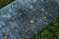 Very old moss covered headstone of a world war 1 vetern in a cemetery