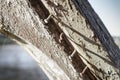 Very old nails arranged in a row on old ship in France Royalty Free Stock Photo