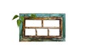 Very old obsolete wooden window frame with green creeper leaves and peeling turquoise paint