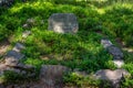 Very old overgrown grave in a long forgotten cemetery in Sweden Royalty Free Stock Photo