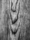 Very old pine wood close up in black and white Royalty Free Stock Photo