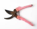 very old pruner with rusty blades, red plastic handles Royalty Free Stock Photo