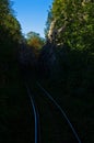Very old railroad through forest terrain, Anina Royalty Free Stock Photo