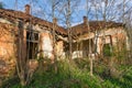 Very old ruins of building overgrown with bushes and trees