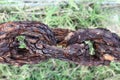 Very old rusted chain Royalty Free Stock Photo