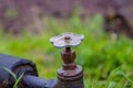 Old rusty water valve that leaks Royalty Free Stock Photo