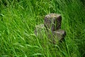 Very old stone cross in the graveyard of The Church of the Holy Archangels in Rogoz village, Maramures County, Romania, Europe.