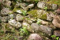 A very old stone wall with moss and lichen.