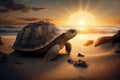 very old turtle clambering out of beach, with the sun setting behind it