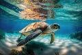 very old turtle swimming in crystal-clear blue water