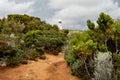 Very old white Cape Naturaliste lighthouse in Western Australia