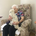 Very old woman being kissed by a loving fluffy dog sitting on her lap