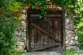 Timeless Beauty: Vintage Wooden Door with Green Leaves and Rusty Metal Padlock