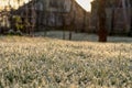 A very peaceful and calming view to the garden in morning light. A grass is covered hoarfrost but it is not snow only crystals of