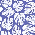 Very Peri monstera leaves seamless pattern