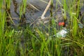 Very polluted river with paper glasses, plastic bottles and other garbage. Environmental protection, save environment Royalty Free Stock Photo