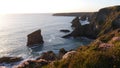 Bedruthan Steps on the coast of Cornwall England