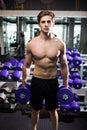 Very power athletic guy , execute exercise with dumbbells, in gym hall Royalty Free Stock Photo