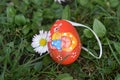 Very pretty colorful easter egg close up Royalty Free Stock Photo