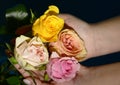 The very pretty colorful glowing roses in the hand Royalty Free Stock Photo