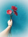 very pretty gerbera flower bouquet Royalty Free Stock Photo