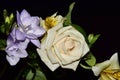 Very pretty multicolor flowers close up