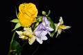 Very pretty multicolor flowers close up