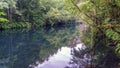 Very quiet image of the river Eume with the banks full of ferns