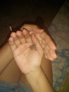 Little frog hands