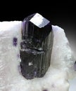 Very rare scapolite crystal on matric mineral specimen from badakhshan afghanistan Royalty Free Stock Photo