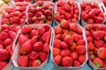 Very red strawberries in small boxes Royalty Free Stock Photo