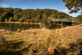 The remote and isolated South Mavora Lake surrounded by lush thick native forest in rural Southland New Zealand