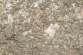 Very rough cement texture