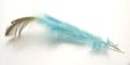 Very Simple Conceptual Macro, Black Blue Feather at white, Representating of Softness, Gentle and Light Royalty Free Stock Photo