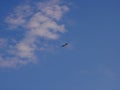 Very small and light propeller plane flying at high altitude, in the background of blue sky, view from bottom from the front Royalty Free Stock Photo