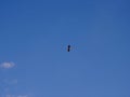 Very small and light propeller plane flying at high altitude, in the background of blue sky, view from bottom from the side Royalty Free Stock Photo