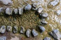 A very small water stream lined with stones