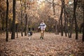 Walking the husky dog in the autumn park Royalty Free Stock Photo