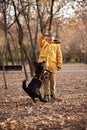 Walking the small black dog in the autumn park Royalty Free Stock Photo