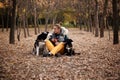 Very smiling young woman sitting in the autumn park with two dogs Royalty Free Stock Photo