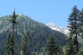 A very special landscpe scene of dense forest, mountains and ice filled mountains at kumrat valley, KP Pakistan Royalty Free Stock Photo