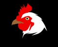 very strong rooster head logo illustration