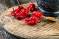 very strongly hot pepper Carolina Reaper Royalty Free Stock Photo