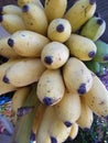 Very sweet banana of sri lankan