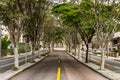 Very tree-lined curitiba street in winter