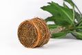 Very Very rootbound root ball of houseplant with orange color from fertilizer