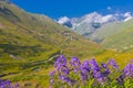 VerÃÂ§enik, which is the most difficult peak of the KaÃÂ§kar Mountains