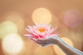 Vesak day, Buddhist lent day, Buddha`s birthday worshiping concept with woman`s hands holding water lilly or lotus flower