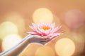 Vesak day, Buddhist lent day, Buddha`s birthday worshiping concept with woman`s hands holding water Lilly or lotus flower