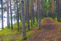 VesleÃÂ¸ye island nature in town Fagernes Fylke Innlandet Norway